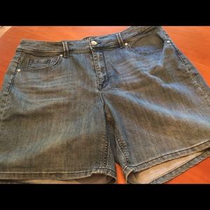 Melissa McCarthy Seven7 Denim shorts